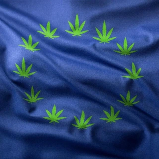 Hero image for With Federal Legalization Stalled, Cannabis Companies Are Finding A New Green Rush In Europe 